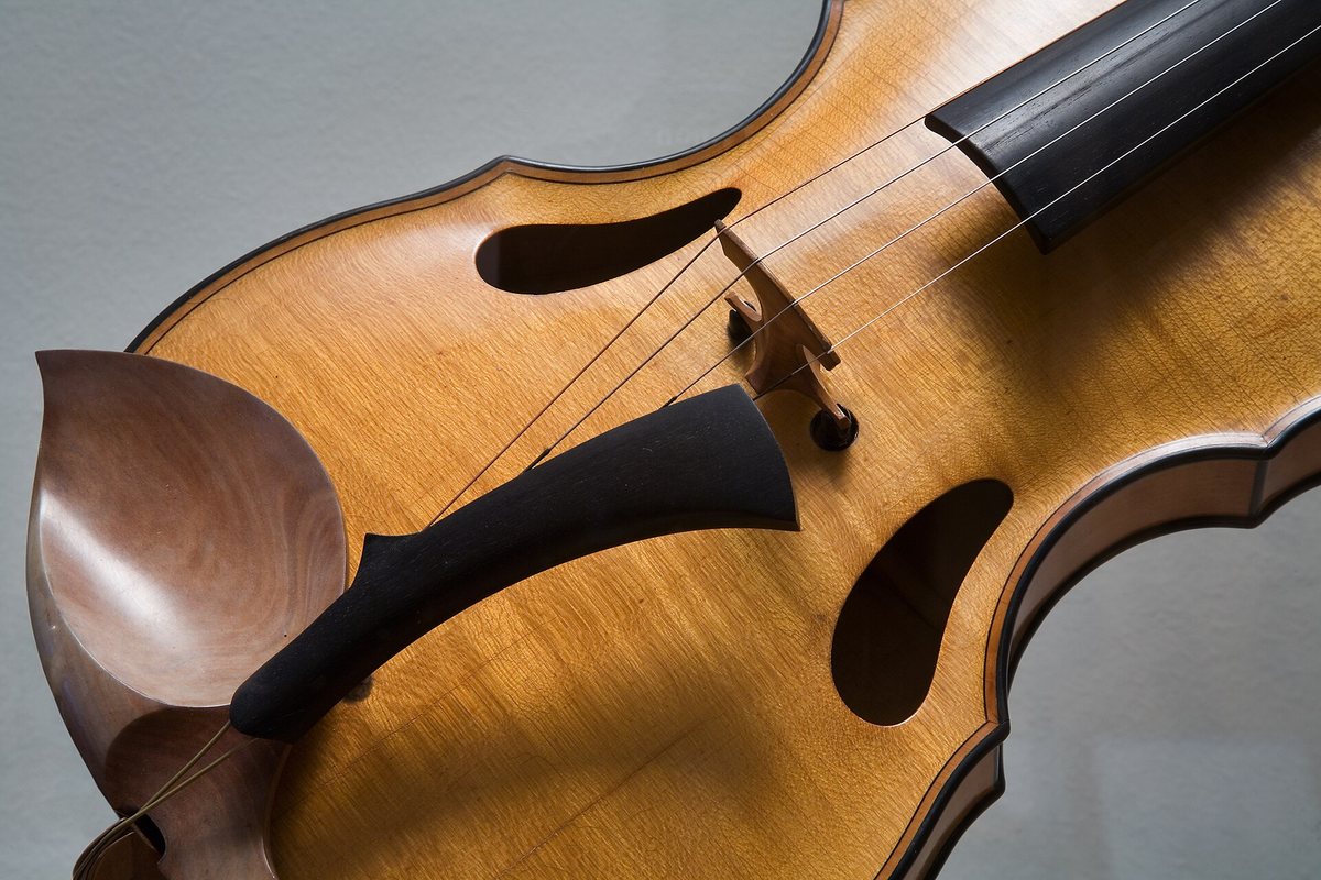 Close detail of the strings, bridge and wooden body of a violin