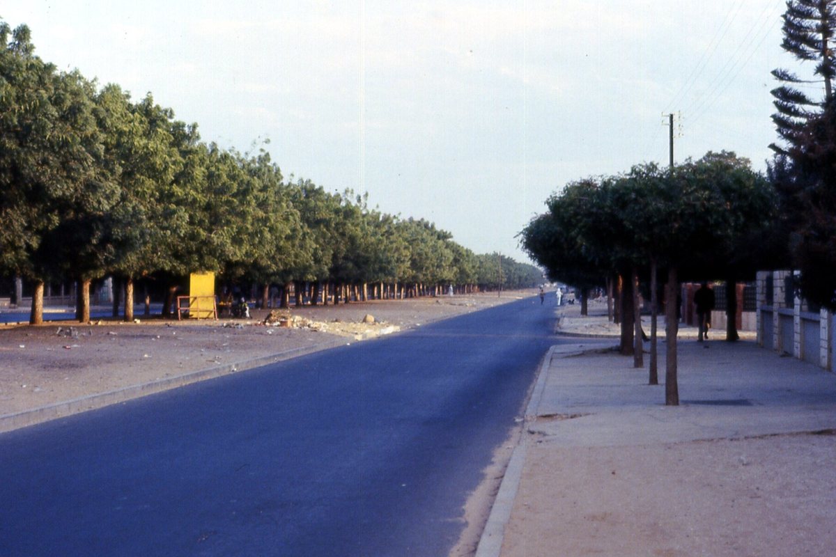 An archival view of a tree-lined residential road in Dakar, photographed in 1981 or 1982